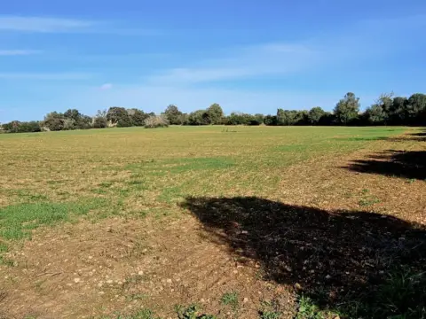 Terreno en Cales de Mallorca