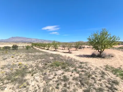 Terreno en Jumilla