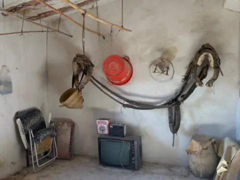 Casa – Jumilla