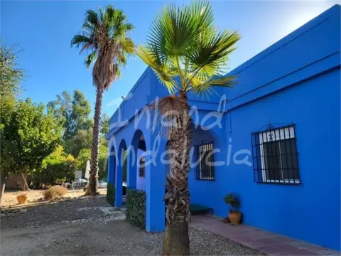 Casa en Marchena
