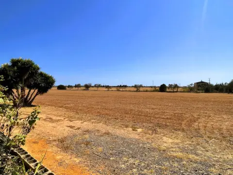 Finca rústica en Campos