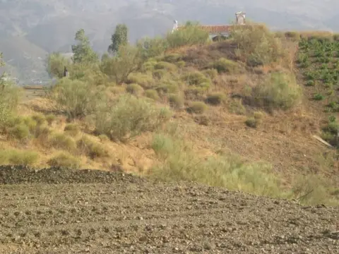 Terreno en Sedella