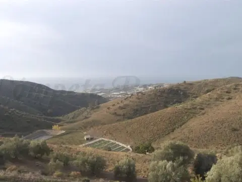 Terreno en Sayalonga