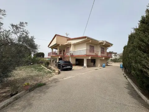 Rustic Finca in Petrer