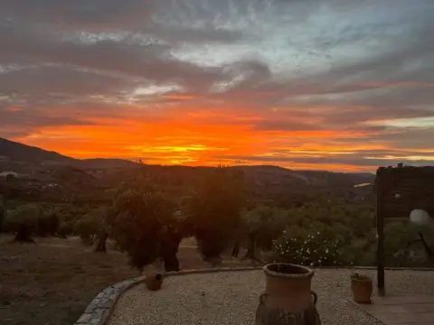 Finca rústica en Algodonales