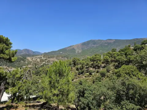 Terreno en La Zagaleta