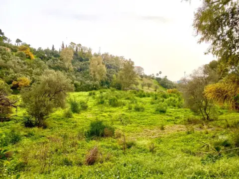 Terreno en Benahavís