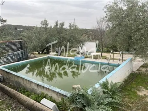 Finca rústica en Fuente Álamo