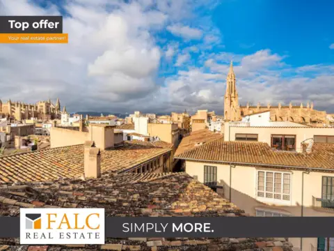 Piso – Palma de Mallorca
