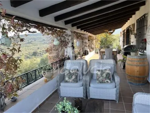 Finca rústica en Ermita Nueva