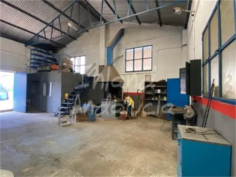 Local comercial en Íllora
