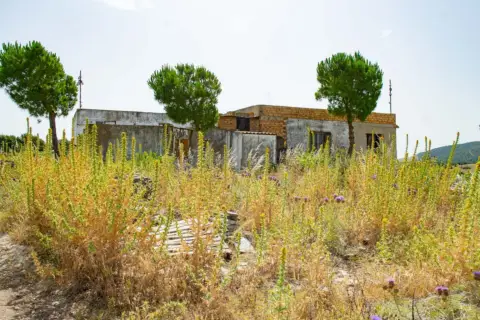 Finca rústica en Medina Sidonia