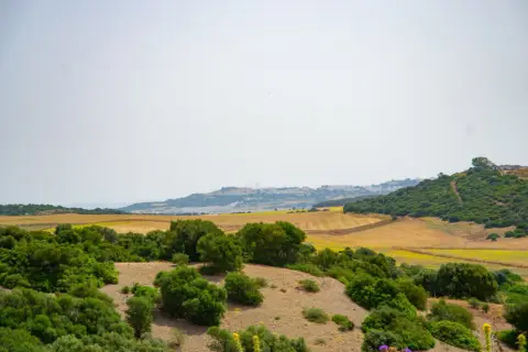 Finca rústica en Medina Sidonia
