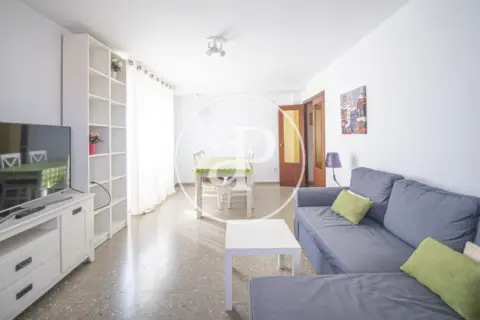 Apartamento en Orriols