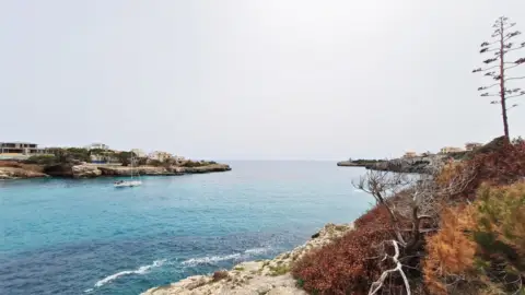 Apartamento en Porto Cristo