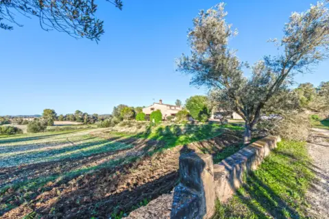 Finca rústica en Sant Joan
