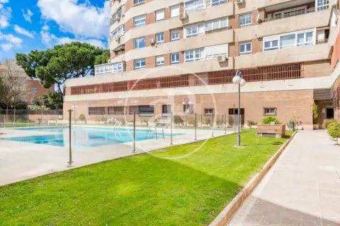 Apartamento en Nueva España
