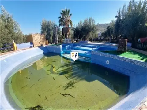 Local comercial en Luque