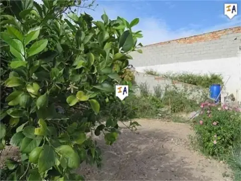 Terreno en Alcaudete