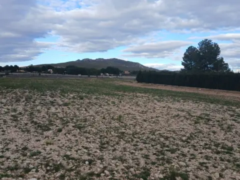 Terreno en Yecla
