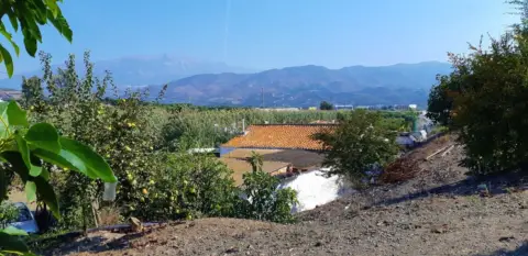 Casa en Benamocarra
