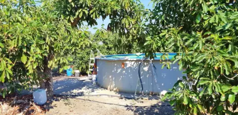Casa en Benamocarra