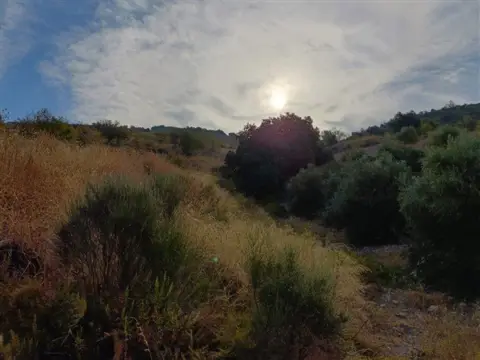 Finca rústica en Alcázar