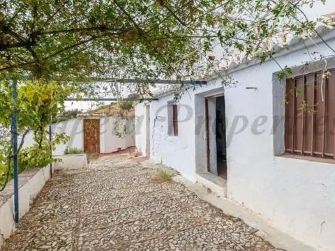 Finca rústica en Canillas de Aceituno