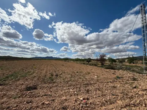Terreno en El Pinós - Pinoso