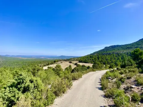 Finca rústica en Ayora