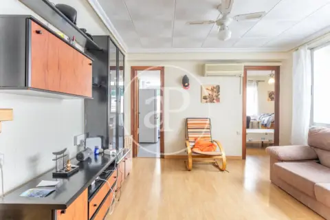 Apartamento en L'Hort de Senabre