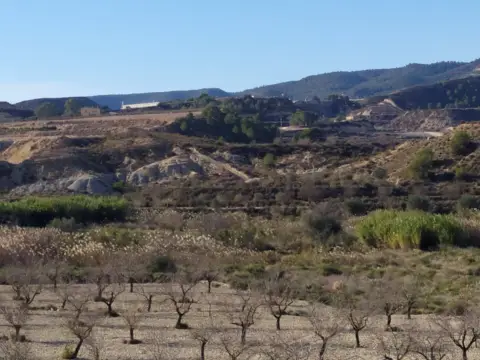 Finca rústica en Orihuela
