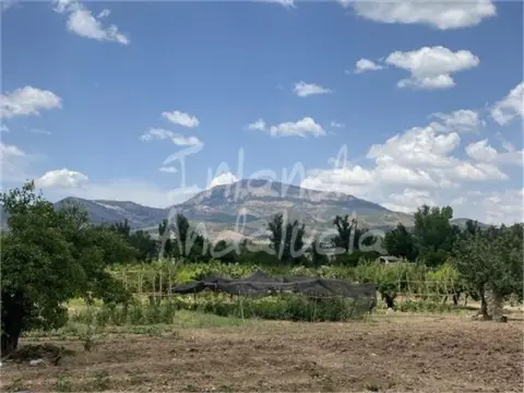 Terreno en Alcaudete