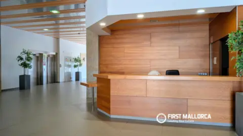 Local comercial en Palma de Mallorca