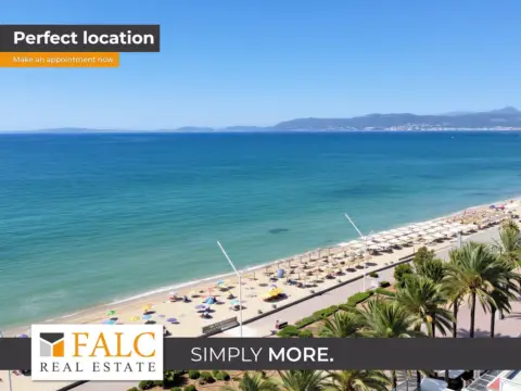 Piso – Palma