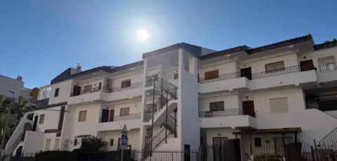 Pis – Orihuela