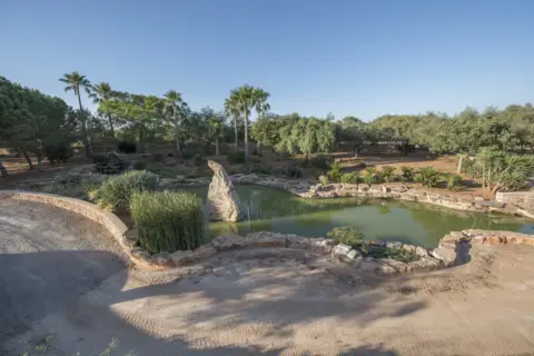 Finca rústica en Campos