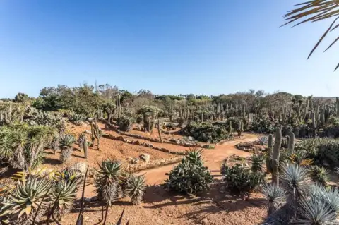 Finca rústica en Ses Salines