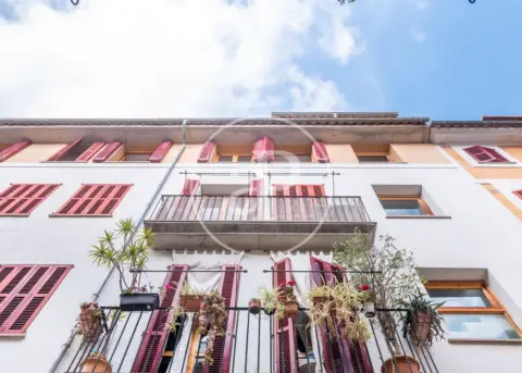 Apartamento en El Sindicat