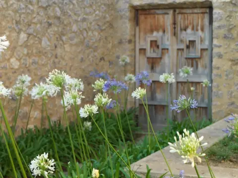 Finca rústica en Artà