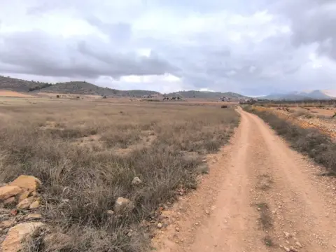 Terreno en La Solana