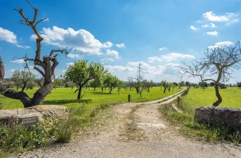 Finca rústica en Sant Joan