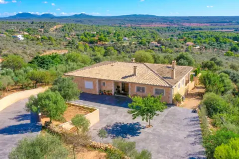 Finca rústica en Platja Punta Prima