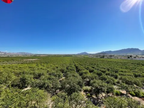 Casa en Murcia Capital