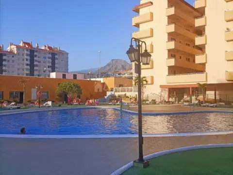 Piso – Beas