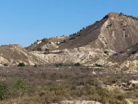 Finca rústica en Orihuela