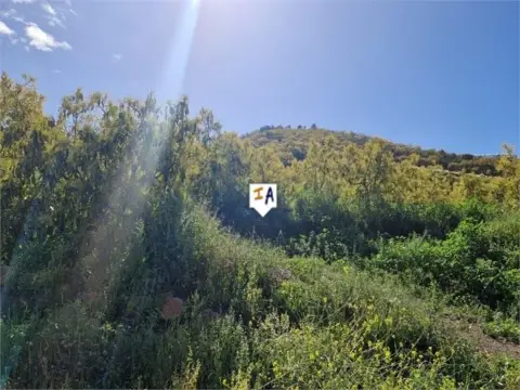 Finca rústica en Algarrobo