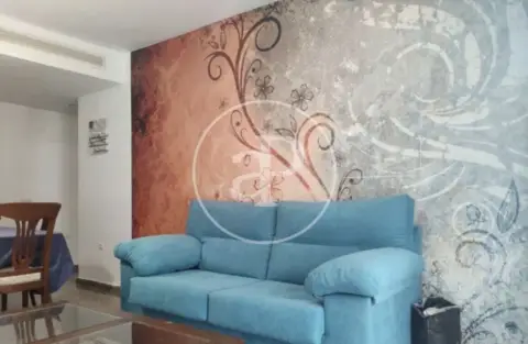 Apartamento en Montolivet