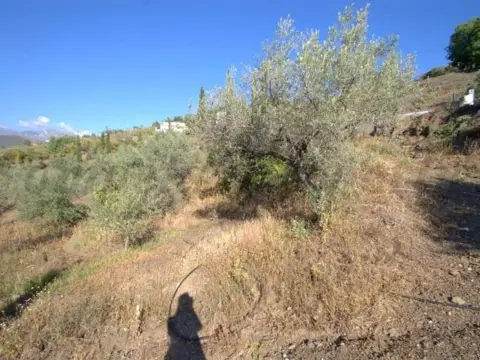 Terreno en Cómpeta