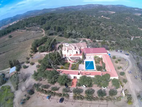 Finca rústica en El Molar